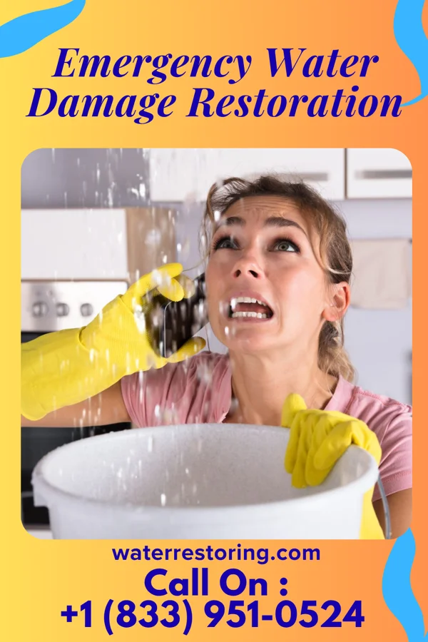 Emergency Water Damage Restoration in Opal, VA